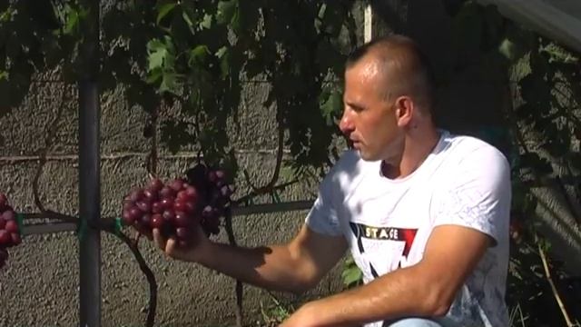 Грость