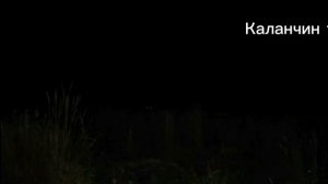 Взлом канала карусель 6.08.2024 в 5:15