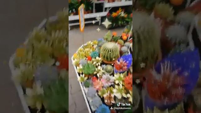 Отправить4