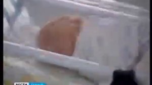 Первая тройня родилась в Областном перинатальном центре