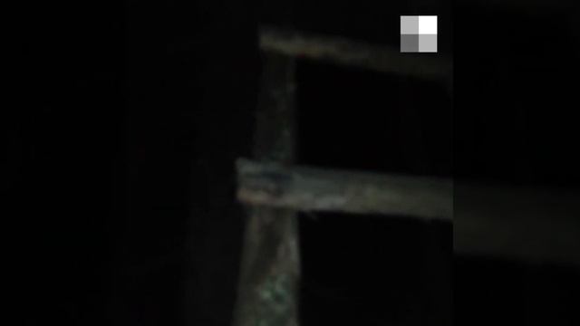 Заблудившихся грибников нашли в охотничьем лабазе