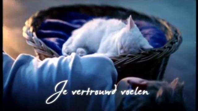 Catsan - Kattengrind Commercial (Dutch)