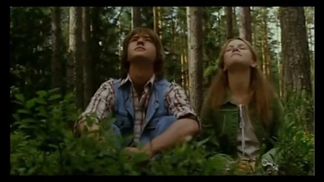 Книжная выставка смотреть онлайн