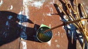 ВИНОГРАДНУЮ ЛОЗУ ДЛЯ РАЗМНОЖЕНИЯ ВИНОГРАДА КАК НАРЕЗАТЬ И СОХРАНИТЬ
