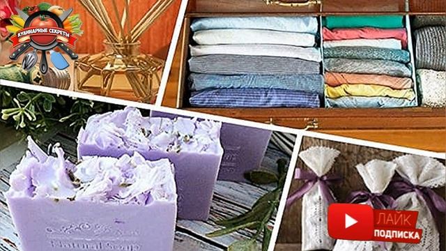 Мылом не только руки моют, но и используют его в самых неожиданных моментах жизни! смотреть онлайн