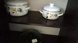 Квартира посуточно для наших зрителей. Где остановиться в Краснодаре. Переезд в Краснодар. Адыгея