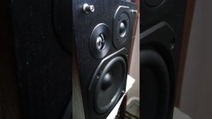 Panasonic SA PMX 70 B