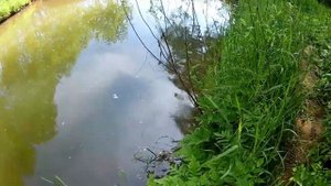 ПОКАТУШКИ НА КВАДРОЦИКЛЕ/ПОЕХАЛИ В СОСЕДНЮЮ ДЕРЕВНЮ