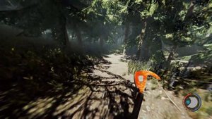The Forest поиск пассажиров