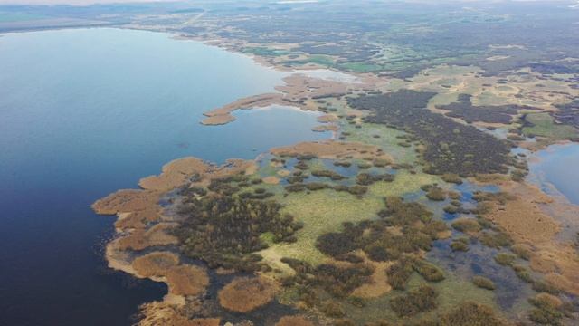 Споровское озеро, устья реки Ясельда смотреть онлайн