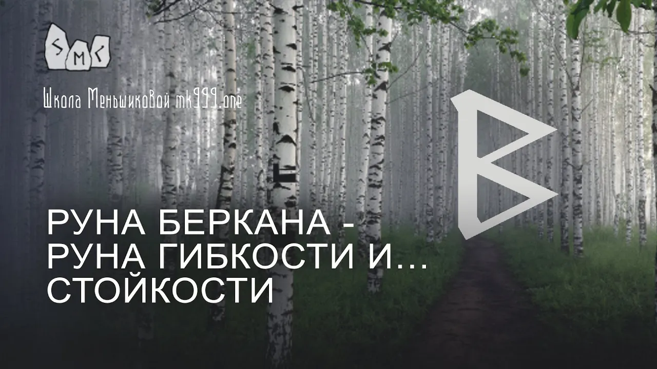 Руна Беркана - руна гибкости и…стойкости. Значение руны Беркана.