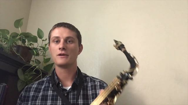 Virtual Instrument Petting Zoo: Rex Amend, Saxophone смотреть онлайн