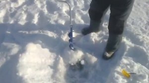 Ледобур ЛР-100СД спортивный (100mm) (Барнаул) сезон 2014-15