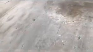 Щетка с передним бункером и пылесосом для мини-погрузчиков