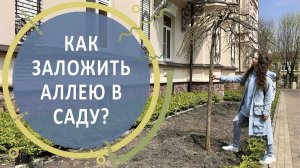 Аллея в саду | 15 важных правил