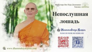 Dhammakaya Meditation - An Unruly Horse - Непослушная лошадь (Медитация+Музыка)