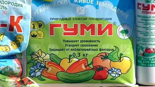 Защита от вредителей. Лечение болезней растений