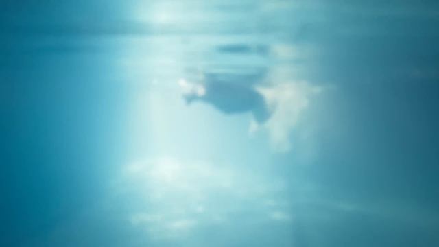 Leona le exige a Jacinta que le diga la verdad a Benja | El amor invencible 4/5 | C-37 смотреть онлайн