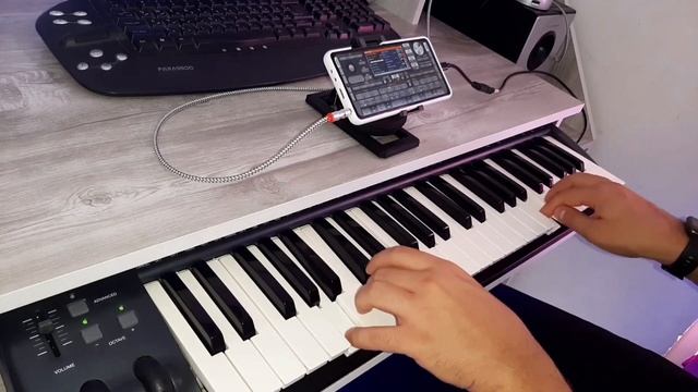 ORG 24 - Kurdish Collection 8 смотреть онлайн