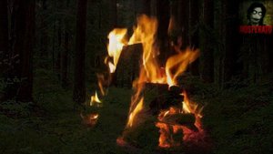 Истории на ночь - Случай в тайге