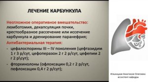 Интенсивная терапия инфекций мочевыводящих путей, почек, паранефральной клетчатки. Ильницкая А.О