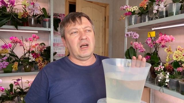 не потерять ОРХИДЕИ ОБРАБОТКА от ВРЕДИТЕЛЕЙ и БОЛЕЗНЕЙ лечение и профилактика Актара + Топаз