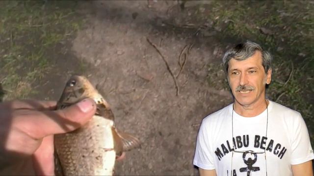 Ловля карася весной смотреть онлайн