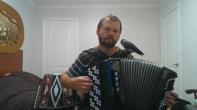 Раскинулось море широко. Баян смотреть онлайн