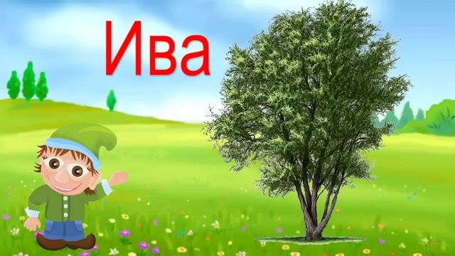 Чудесная Азбука. Буквы И Й.