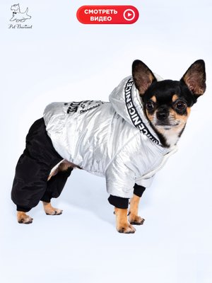 Зимний комбинезон для собак мелких и средних пород "С-лап-сшибательный", Одежда для собак зимняя