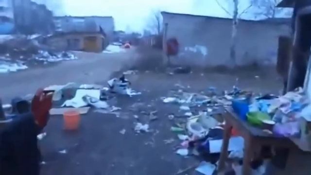 пророк санбой   пара гнедых