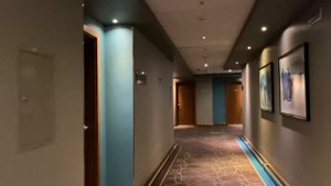 Cosmos Selection Moscow Sheremetyevo Airport Hotel 5*