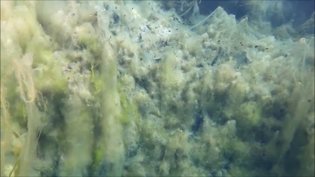 Загадочное голубое озеро в Башкирии смотреть онлайн