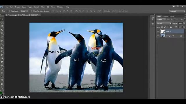 Adobe Photoshop CS6 Ders 32 Resimden Ayrı Layer Kopyalama смотреть онлайн