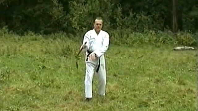 Лечебные и боевые искусства Востока. Часть I смотреть онлайн