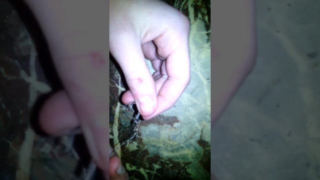 привязування гачків для сіліконки смотреть онлайн