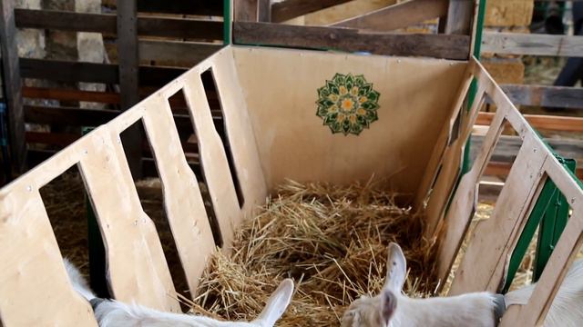 НАШЛА АЛАТЫРЬ НА Wildberries. НАС И СЕГОДНЯ ОКРУЖАЮТ СЛАВЯНСКИЕ ОБЕРЕГИ, ГЛАВНОЕ ИХ УВИДЕТЬ! смотреть онлайн