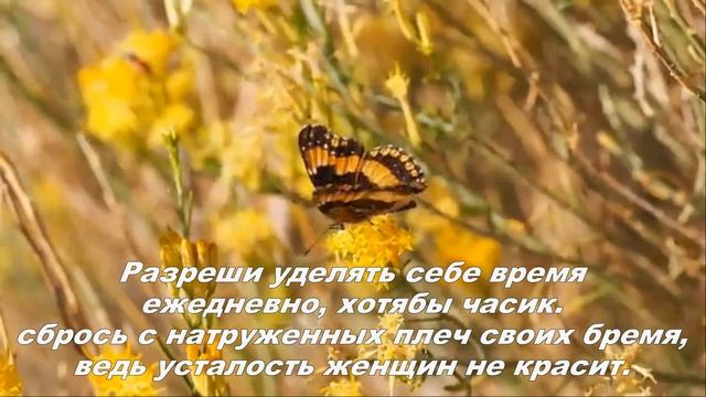 ЛЮБИ СЕБЯ