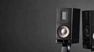 Raidho X1t Super Mini Monitor