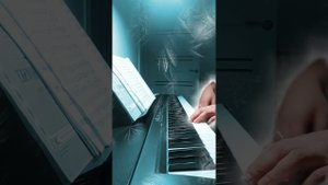 11 февраля 2024 г.