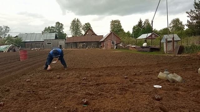 посадка кабачков и тыквы смотреть онлайн