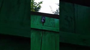 Автономный свет в дачный туалет.