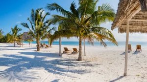 Konokono Beach Resort