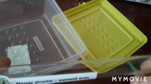 Подручные материалы для муравьиной фермы, из чего можно сделать  дом для муравья