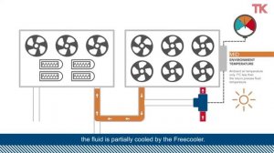 Преимущества раздельного фрикулинга