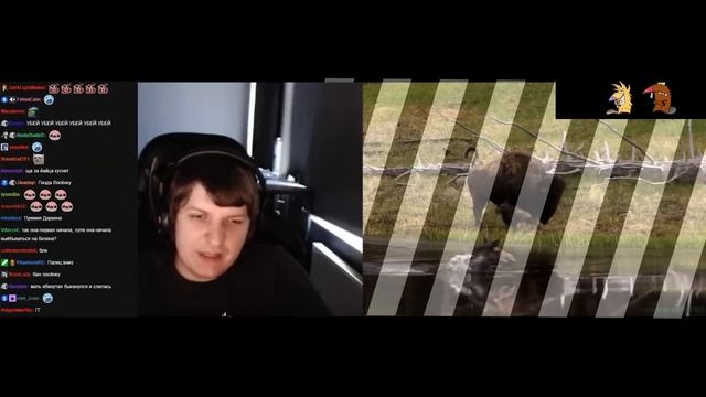 ШУСС СМОТРИТ БОБРОВ смотреть онлайн