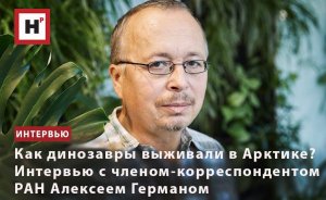 КАК ДИНОЗАВРЫ ВЫЖИВАЛИ В АРКТИКЕ? ИНТЕРВЬЮ С ЧЛЕНОМ-КОРРЕСПОНДЕНТОМ РАН АЛЕКСЕЕМ ГЕРМАНОМ