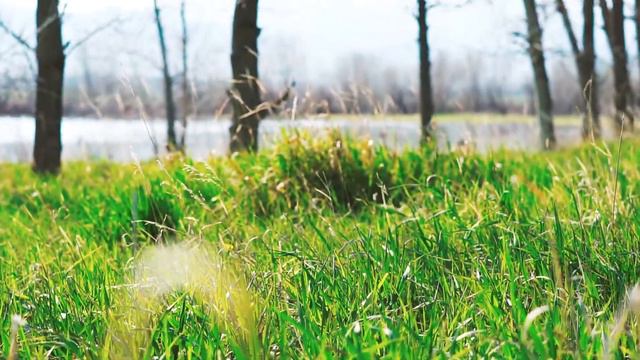 Muse EEG headset and Ableton Live смотреть онлайн