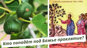 О нашем предательстве. Иисус проклинает смоковницу. Самое важное. Жизнь Иисуса Христа-173