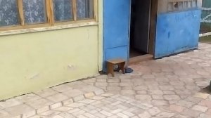 Ветер в ст. Шкуринская.